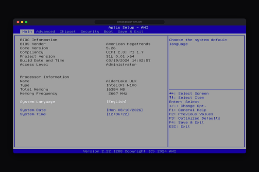 A machine's BIOS setup in a browser tab