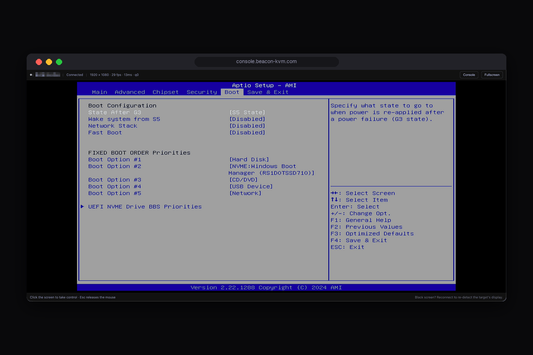 The screen of a machine that will not boot, in a browser